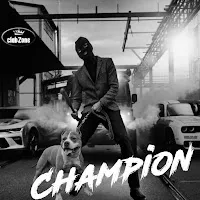 Dmitriy Rs — Elephant Ft Xm — обложка